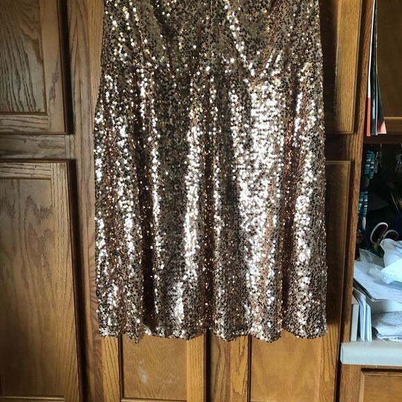 NWT Vince Camuto Sequin V-Neck Blouson Fit & Flare Dress Rose Gold Plus Size 14W - Picture 5 of 12